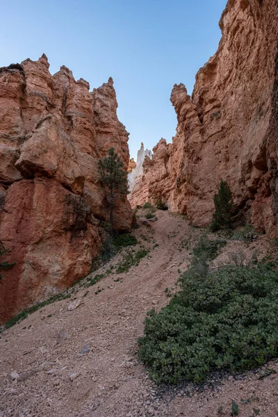 Olhando Para Altas Espirais Hoodoos Fundo Bryce Canyon Trilha Wall — Fotografia de Stock