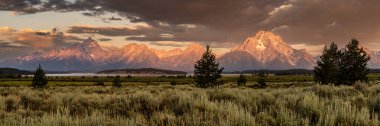Grand Teton Ulusal Parkı 'ndaki Sagebrush' ın Arkasından Sabah Işığı Panoraması