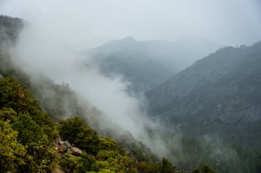 Kings Canyon Ulusal Parkı 'ndaki Cedar Grove' da Bulutlar Düşüyor