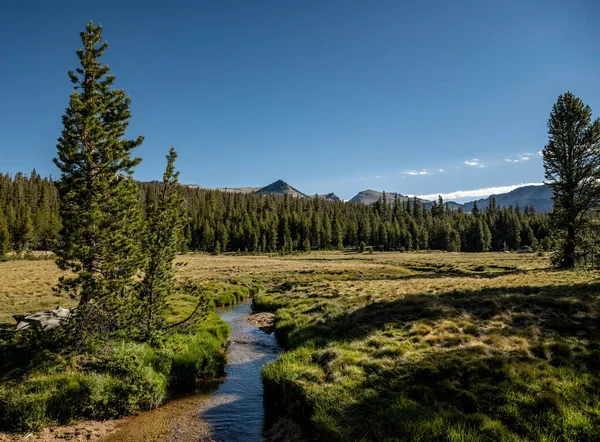 Shallow Creek Vientos Través Prados Del Parque Nacional Yosemite —  Fotos de Stock