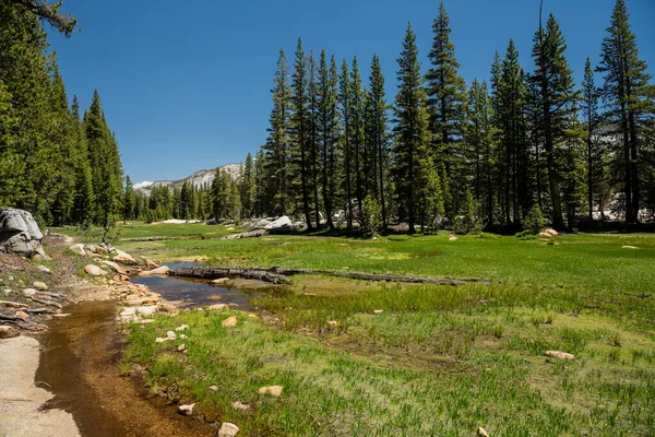 Mělké Pramínky Vody Protékají Sněhovým Potokem Oblasti Yosemitského Národního Parku — Stock fotografie