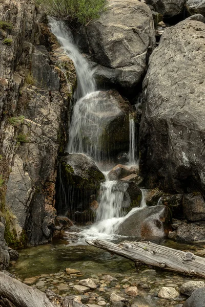 Små Bäck Tumlar Över Klippor Längs Backcountry Trail Yosemite National — Stockfoto