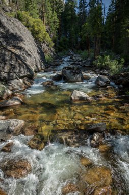 Kings Canyon Ulusal Parkı 'nda Çadır Kuruldu