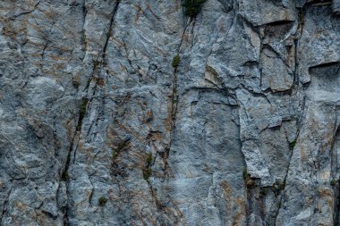 Yosemite Ulusal Parkı 'ndaki Yosemite Şelalesi yakınlarında Mavi Gri Granit Duvar dokusu