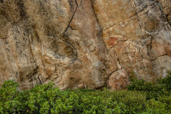 Kontrast Zwischen Grünen Büschen Und Orangefarbener Steinmauer Yosemite Nationalpark — Stockfoto
