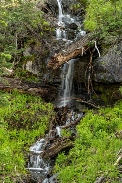 Les Débris Recouvrent Une Petite Cascade Dans Parc National Lac — Photo