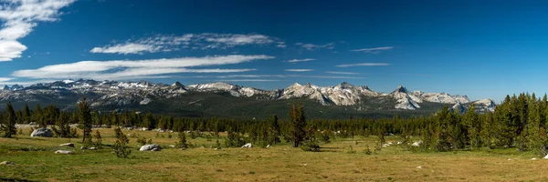 Tomma Äng Flankerad Tallar Sitter Höga Sierras Yosemite National Park — Stockfoto