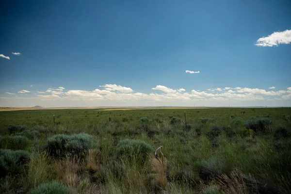 Open Country Eastern Oregon Summer Afternoon — Stock Photo, Image