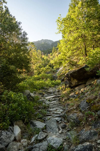 Velha Trilha Pavimentada Começa Ser Superada Sertão Parque Nacional Yosemite — Fotografia de Stock