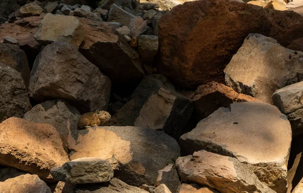 Теней Вулканического Камня Национальном Парке Кратер Лейк Вырывается Пепел — стоковое фото