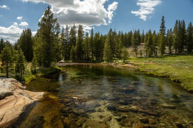 Yosemite 'deki Tioga Yolu yakınlarındaki Tuolumne Nehri' nin sığ ve geniş suları.