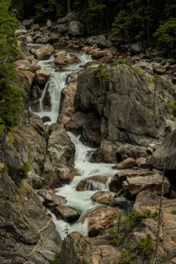 Yosemite Ulusal Parkı 'ndaki Register Creek' te küçük çağlayanlar