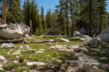 Yosemite 'deki Genç Göller' e Giden Kayalık Çayır 'ın Sağına Giden Yol Kesiliyor