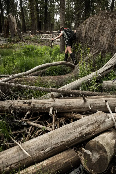 Woman Balances Tree Limbs Enquanto Cruza Área Pantanosa Área Serrana — Fotografia de Stock