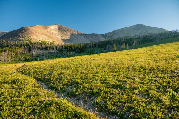 Tranquillo Sentiero Che Porta Fino Monte Holmes Nel Backcountry Yellowstone — Foto Stock