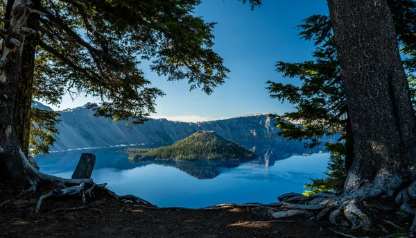 Reflective Blue Waters Crater Lake Pine Trees Summer — Stock Photo, Image