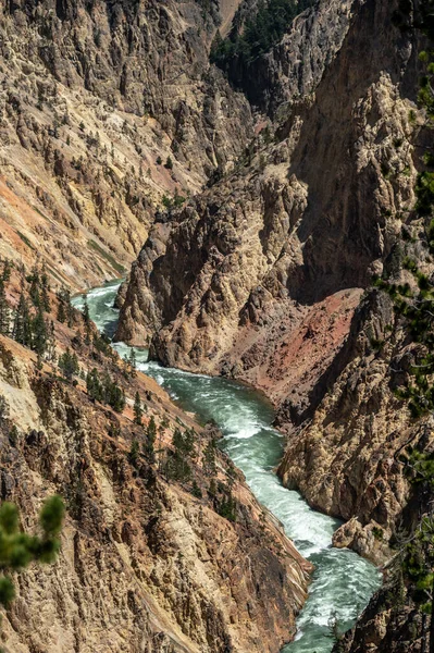Βαθιά Πράσινα Νερά Του Ποταμού Yellowstone Περνά Μέσα Από Απόκρημνα — Φωτογραφία Αρχείου