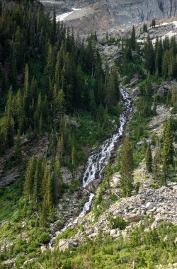 Boya fırçası Grand Teton Ulusal Parkı 'ndaki Kayalıklardan ve Dağdan Yeşil Vadi' ye yuvarlanıyor