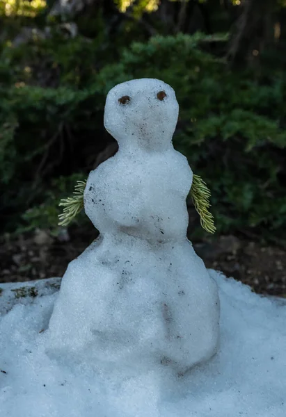 Крошечный Снеговик Застрял Снежном Заносе Оставшемся Летней Тропе Национальном Парке — стоковое фото