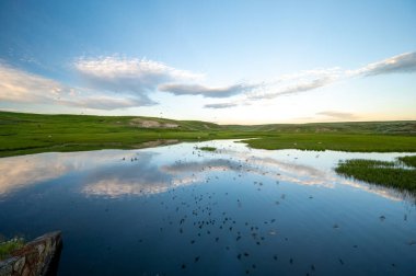 Kuşlar ve Bulutlar Hayden Vadisi 'ndeki Yellowstone Nehri yakınındaki Geçici Havuzda Yansıyor