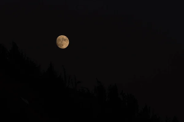 Luna Brillante Cuelga Cielo Sobre Siluetas Oscuras Del Bosque — Foto de Stock