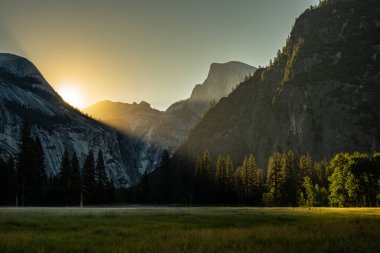 İlk ışık Yosemite Vadisi 'ni vurdu Yaz Sabahı Çayırların ve ağaçların üzerinde altın ışıkla