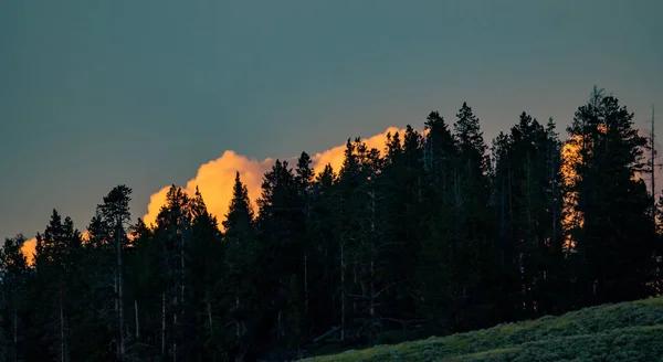 Evening Clouds Glow Dark Forest Yellowstone — Stock fotografie
