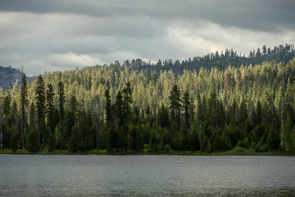 约塞米蒂劳雷尔湖畔松树线层状结构 — 图库照片