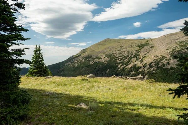 Open Meadow Mount Dickinson Rocky Mountain National Park — Stock fotografie