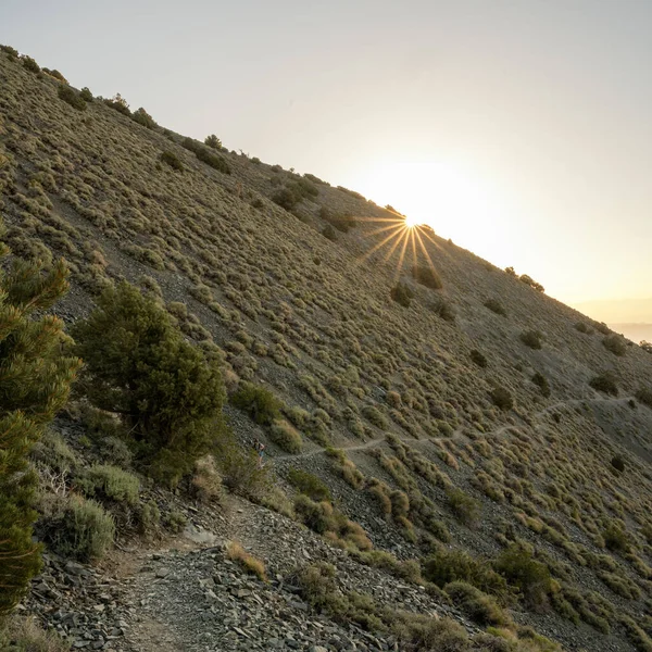 Sunburst Hillside Con Thin Trail Las Montañas Del Valle Muerte — Foto de Stock