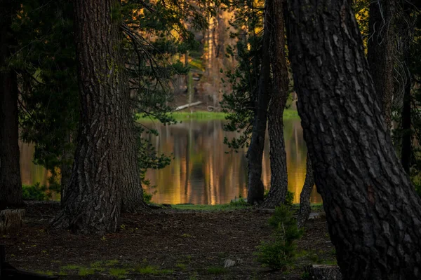 นไม รอบทะเลสาบซ ทสะท อนแสงตอนเช าในอ ทยานแห งชาต เขาไฟเลสเซน — ภาพถ่ายสต็อก