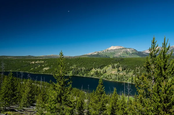 Lago Grizzly Con Monte Holmes Distancia Yellowstone —  Fotos de Stock