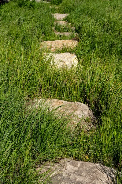 Large Stepping Stones Tall Green Grass Yellowstone Field — Stock Photo, Image