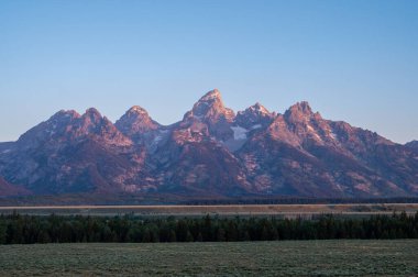 Pembe Sabah Işığı Grand Teton 'un karlı taşını ısıtıyor.