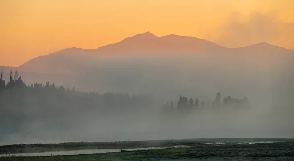 沃什伯恩火山耸立在黄石公园海登谷雾之上 — 图库照片