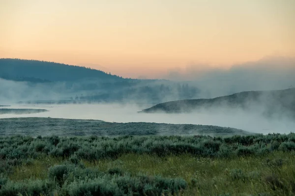 Gruesa Niebla Cuelga Sobre Río Yellowstone Amanecer Verano —  Fotos de Stock