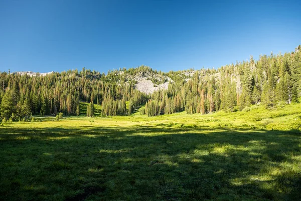 Green Grass Paradise Meadows Bawah Blue Sky Taman Nasional Vulkanik — Stok Foto