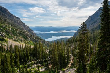 Grand Teton Ulusal Parkı 'ndaki String ve Jenny Göllerine Bakıyoruz