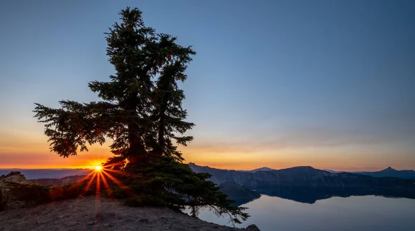 Sun Rays Cast Out Final Lights Mountain Range Pine Tree — Stock Photo, Image