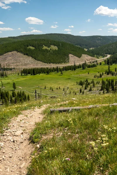 Míří Dolů Grizzly Lake Trail Zpět Cestu Yellowstone — Stock fotografie