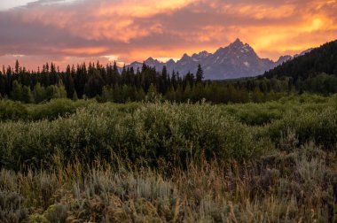 Gün batımında ön planda fırçayla birlikte Teton katmanları