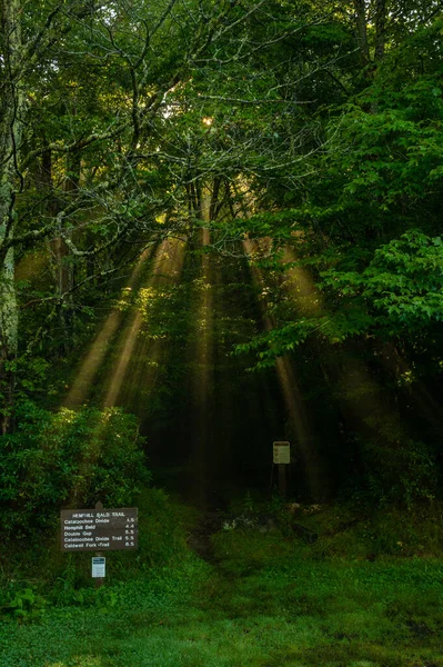 Lichtschächte Beleuchten Den Hemphill Trailhead Den Smokies — Stockfoto