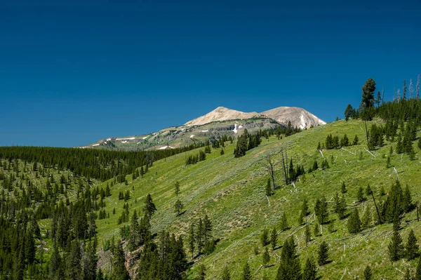 Rolling Green Hills Führen Hinauf Zum Holmes Yellowstone — Stockfoto