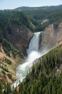 Yukarı Yellowstone Şelaleleri Yaz Öğleden Sonra Uçurumdan yuvarlanır