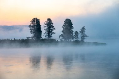 Yellowstone Nehri, Yellowstone 'da sabah sisinde ağaçlarla adanın etrafında kıvrılıyor.