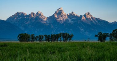 Grand Teton Ulusal Parkı 'nda Morman Row' da Yaz Sabahının Başları