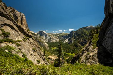 Yosemite Vadisi 'nin Kalın Ormanı' nın Üzerinde Yarım Kubbe Tepede