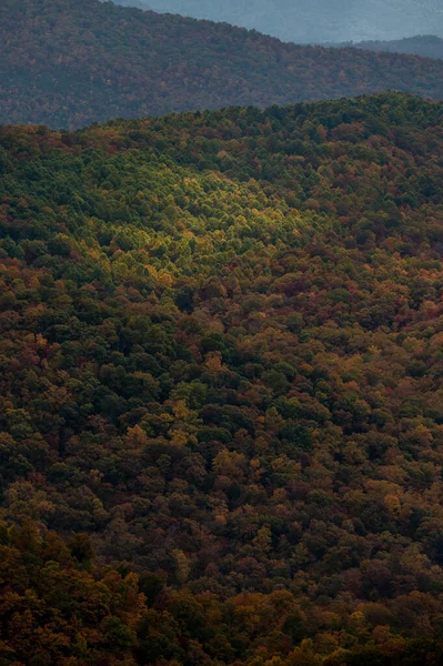 Φως Χορεύει Όλη Δέντρα Αλλάζει Χρώμα Φθινόπωρο Κατά Μήκος Του — Φωτογραφία Αρχείου