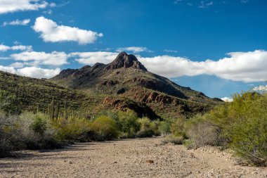 Saguaro Ulusal Parkı 'nda Dağlar Resim Kayalarını Sardı