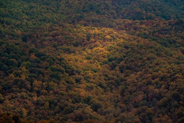 Patch of Light Dances Across Autumn Canopy of the Blue Ridge Mountains